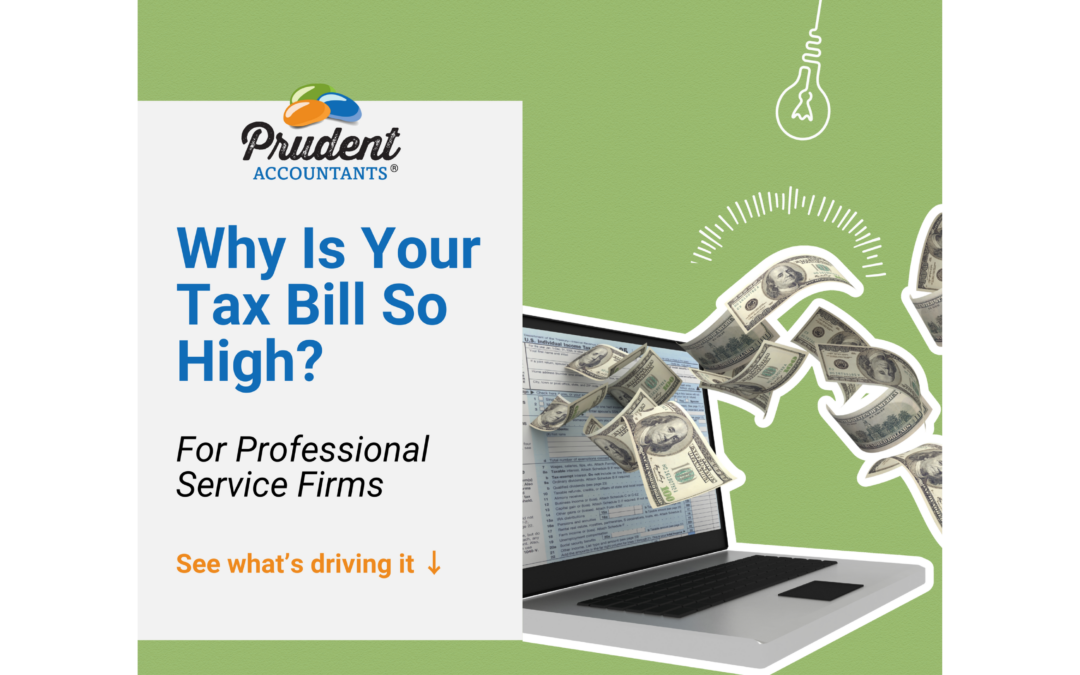 Are You Paying Too Much in Self Employment Taxes? What Many Professional Service Firm Owners Discover Before April 15