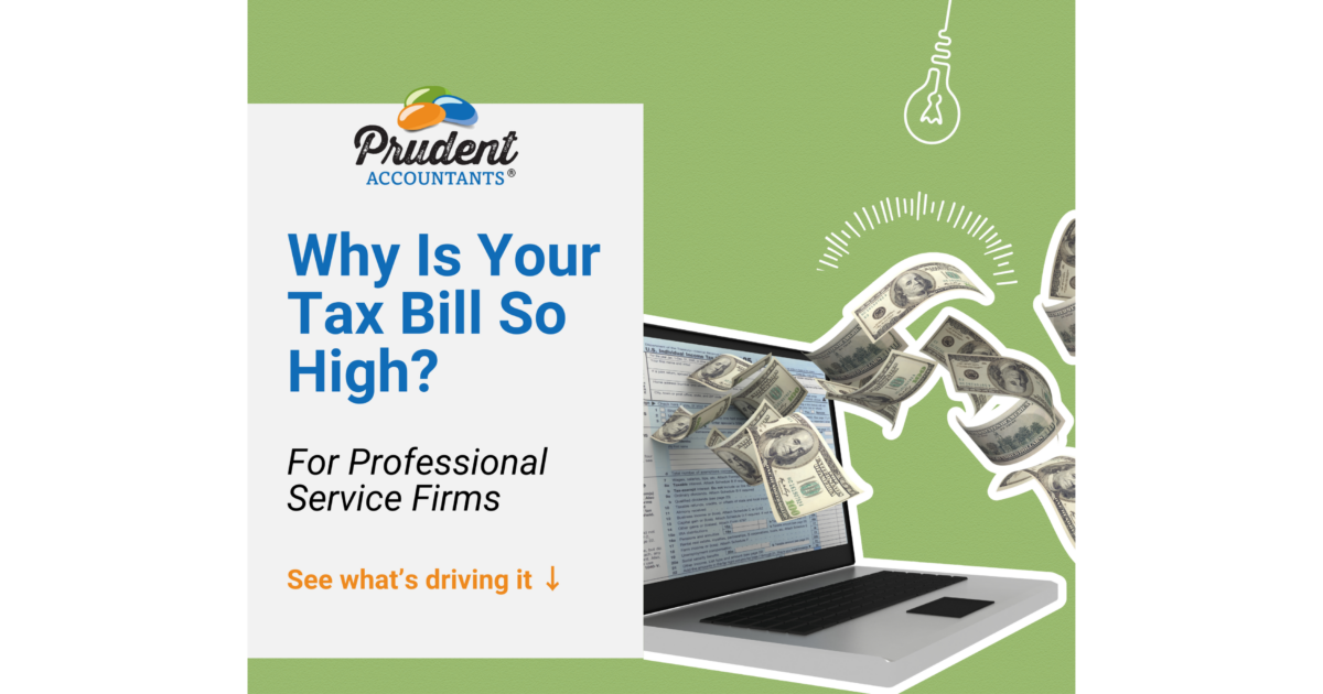 Are You Paying Too Much in Self Employment Taxes? What Many Professional Service Firm Owners Discover Before April 15