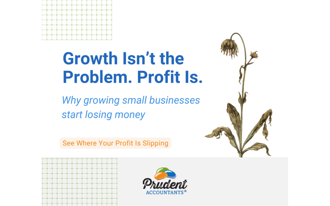 The 3 Profit Killers That Cause Profits to Disappear in Growing Small Businesses