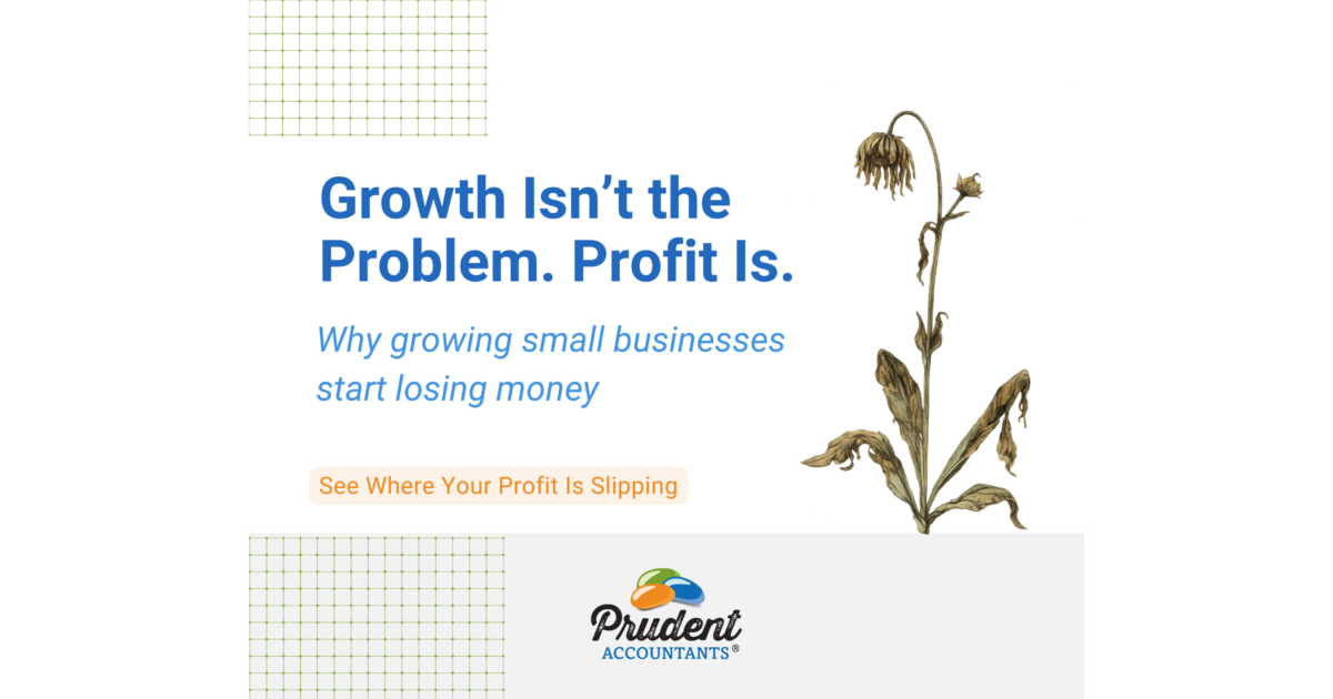 The 3 Profit Killers That Cause Profits to Disappear in Growing Small Businesses