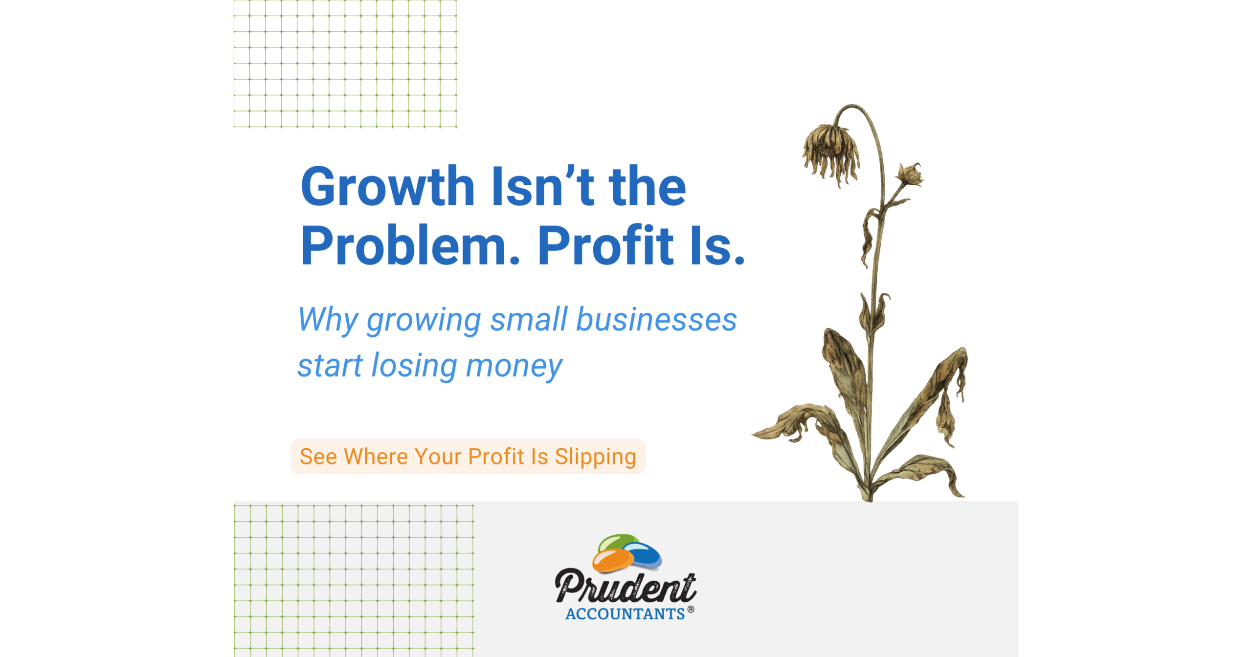 The 3 Profit Killers That Cause Profits to Disappear in Growing Small Businesses