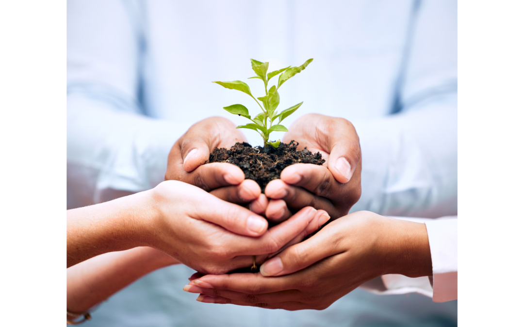 Why Your Nonprofit’s Grant Reports Don’t Match Your Financial Statements