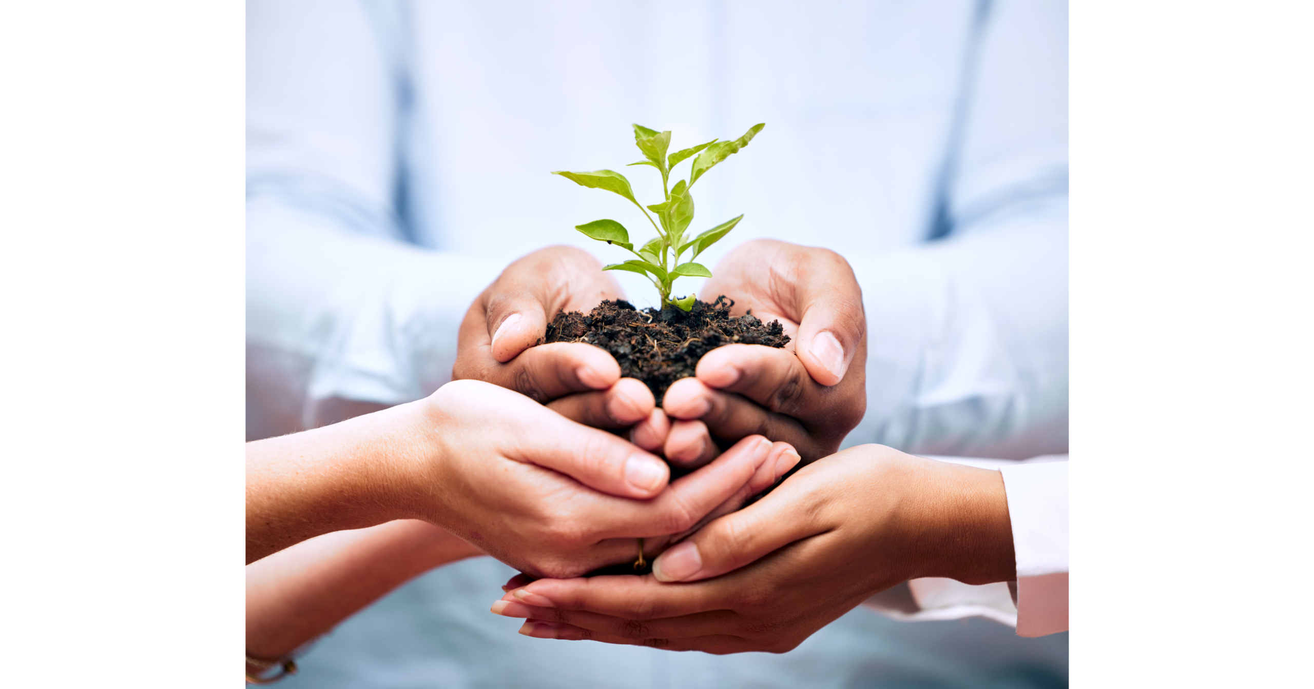 Prudent-Accountants-blog-article-CPAs-TX-MN-July-Why-dont-nonprofits-reports-match-2